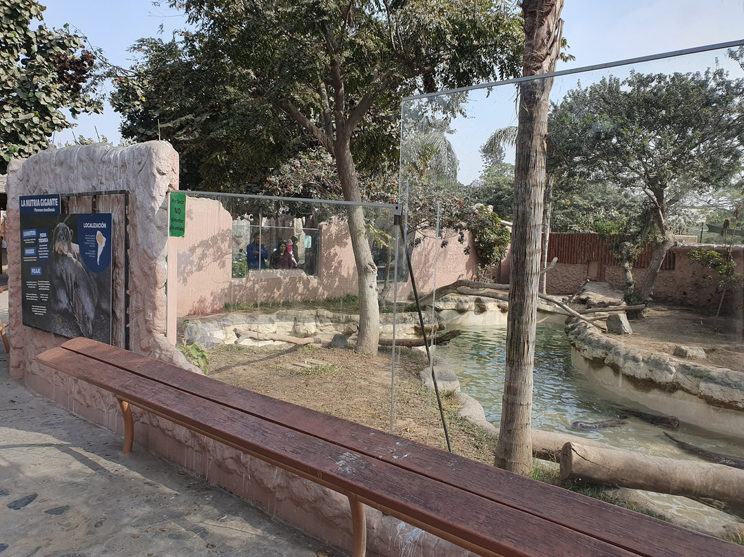 Parque Zoologico Huachipa-利马必去景点