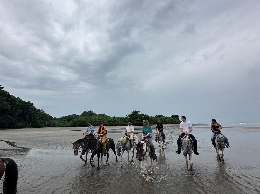 Horizonte Horse Experience-Playa Hermosa必去景点
