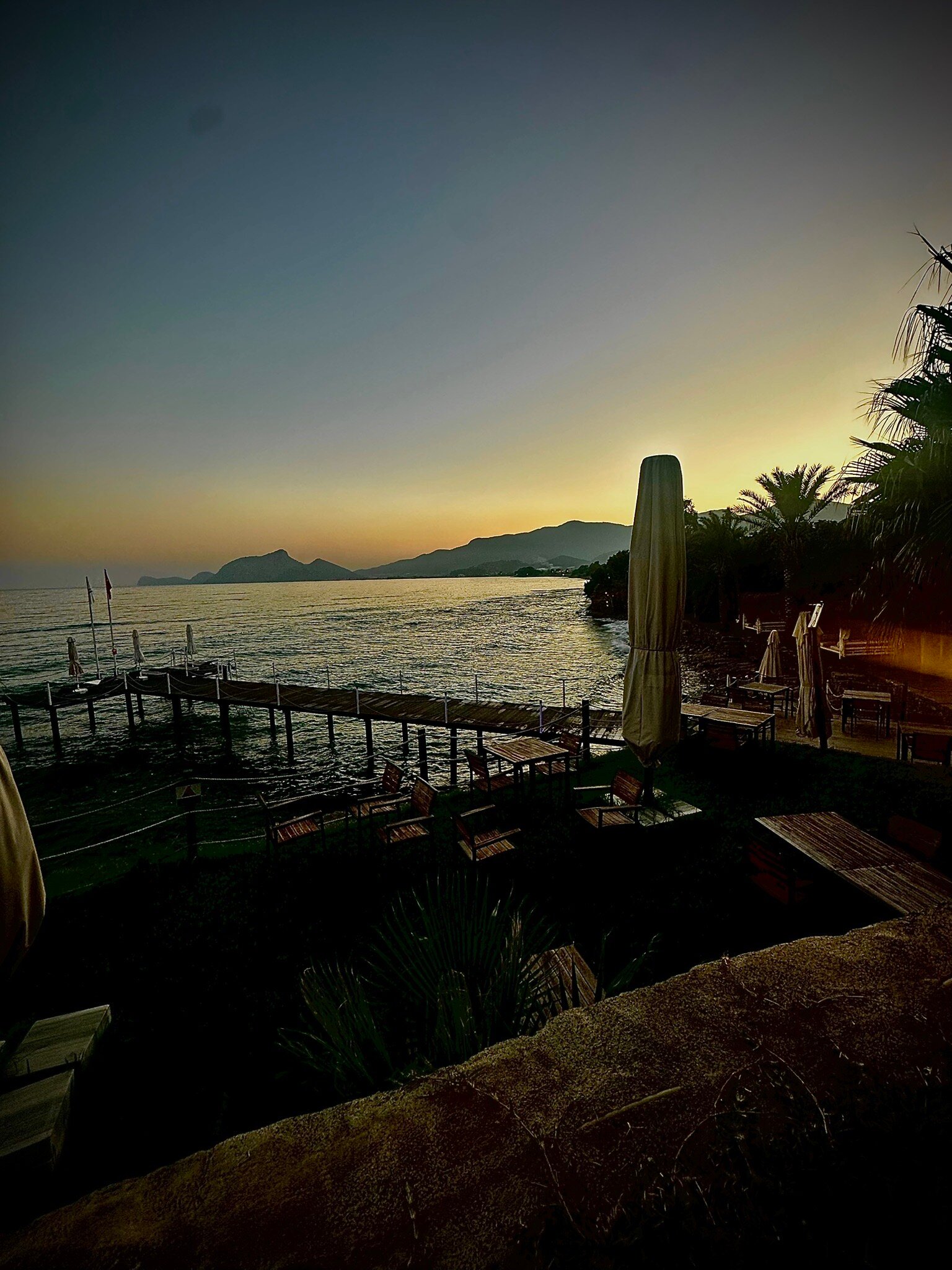 Elysium Garden-官方