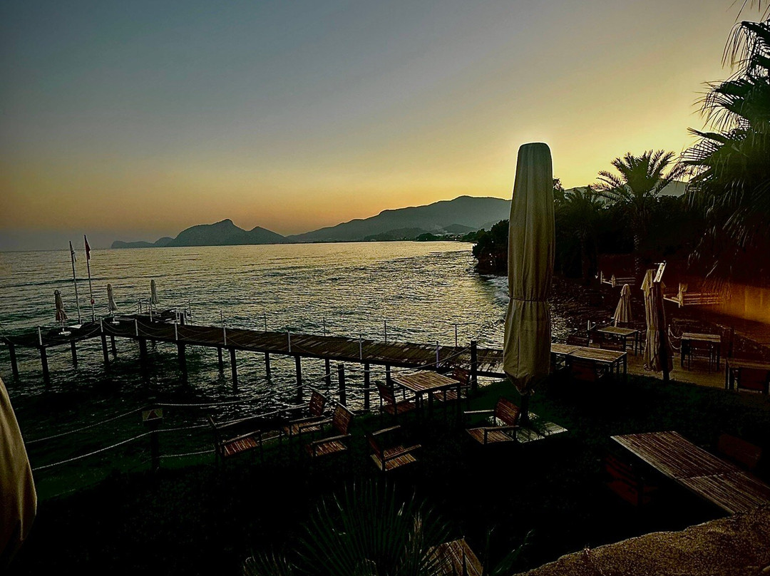 Elysium Garden主图