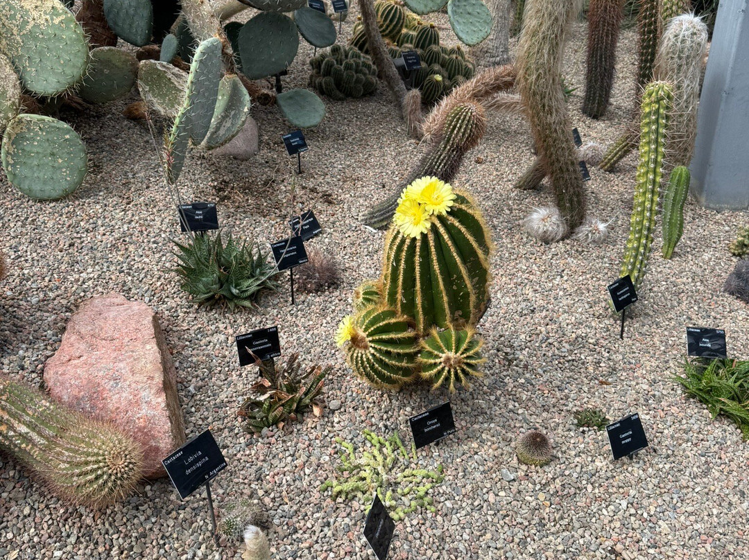 Duthie Park Winter Gardens-阿伯丁必去景点