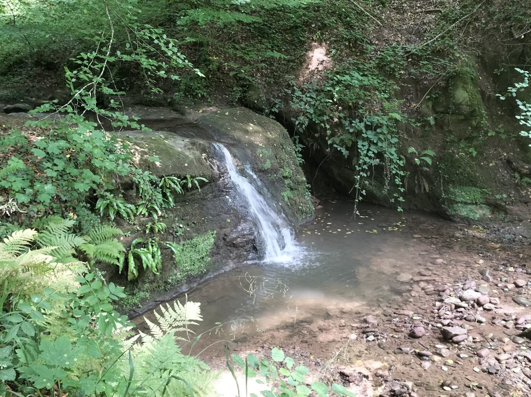 Villa Vontenie主图