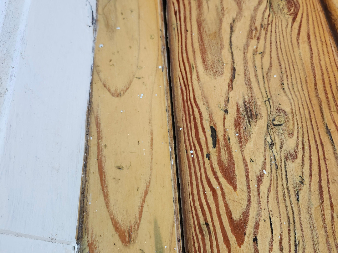 Laughing Lizard Inn主图