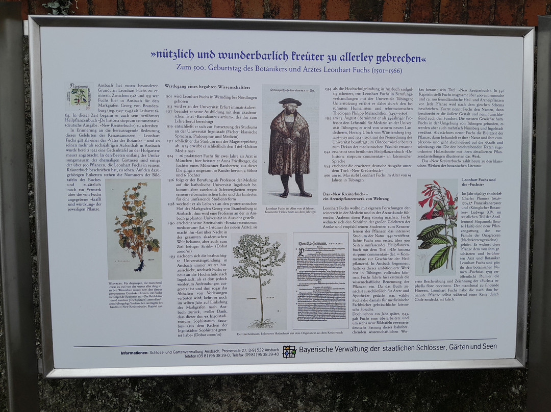 Hofgarten Ansbach-安斯巴赫必去景点