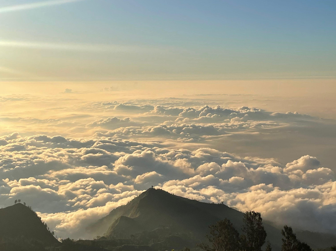 Davi Trekker-Tetebatu必去景点