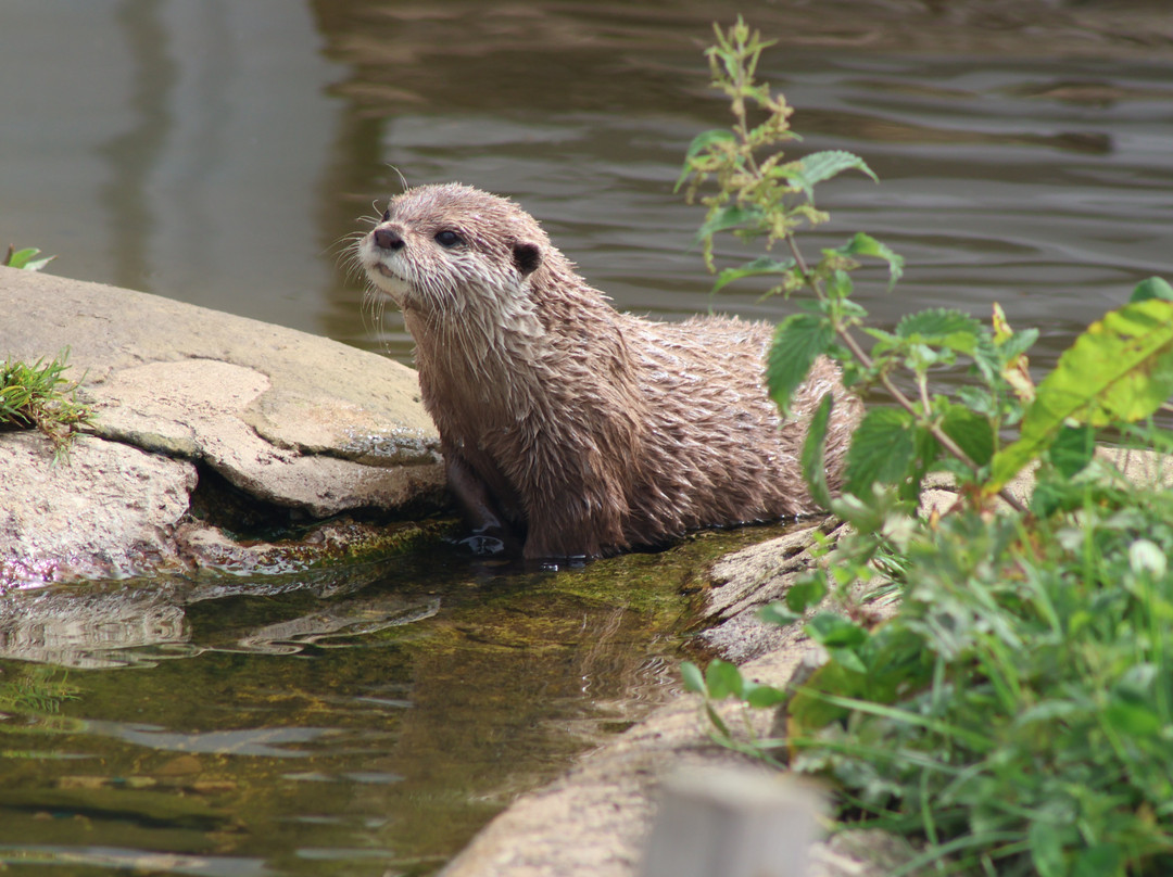 Butterfly World & Farm Park-Wanborough必去景点