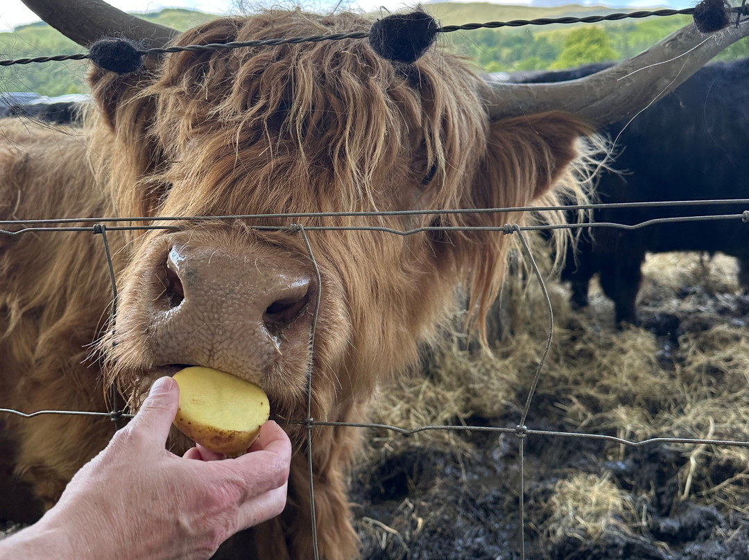 Discreet Scotland Private Tours-爱丁堡必去景点