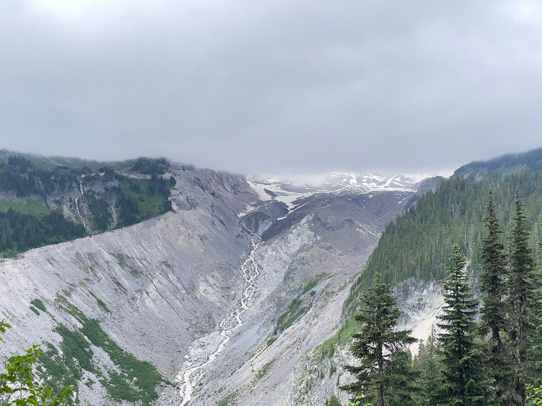 Nisqually Vista Loop-雷尼尔山国家公园必去景点