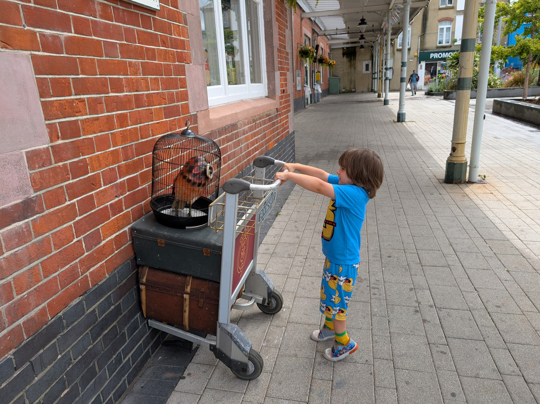 Heygates Bookshop-博格诺里吉斯必去景点