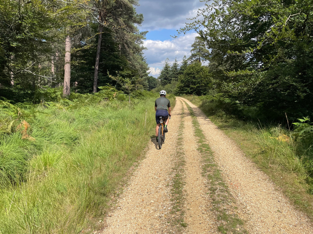 The Woods Cyclery-林德赫斯特必去景点