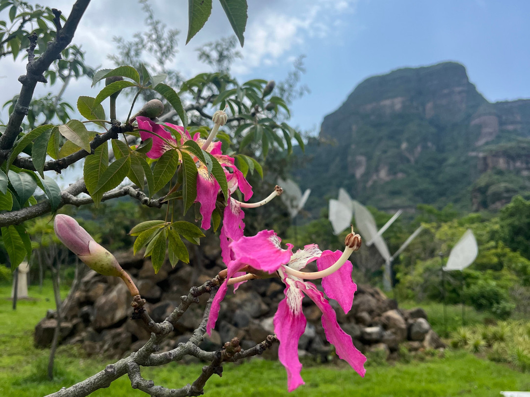 Dilao Sculpture Park-Tepoztlan必去景点