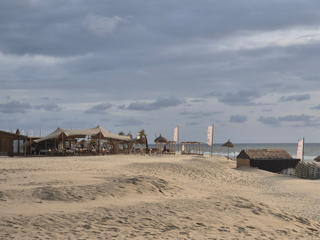 Strand Van Noordwijk-诺德韦克必去景点