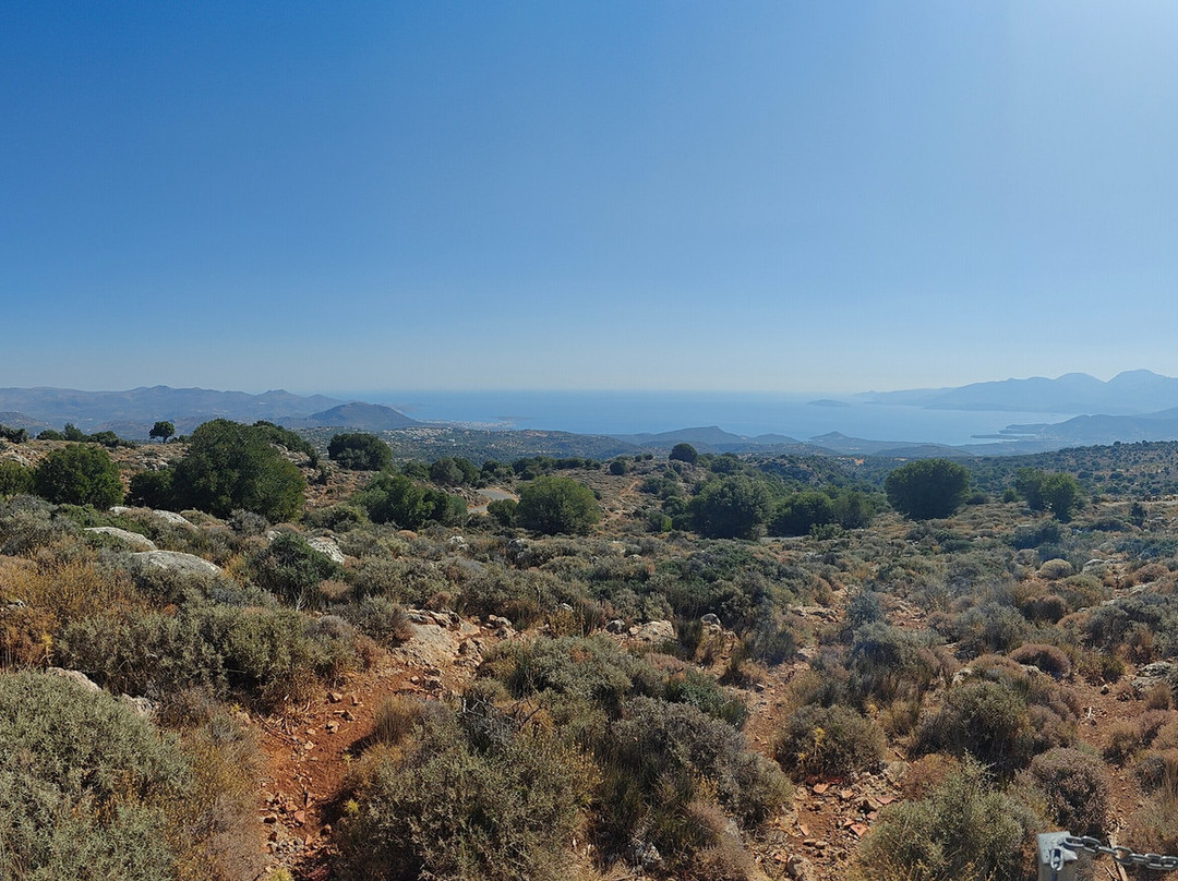 Safari Experts Crete-马利亚必去景点