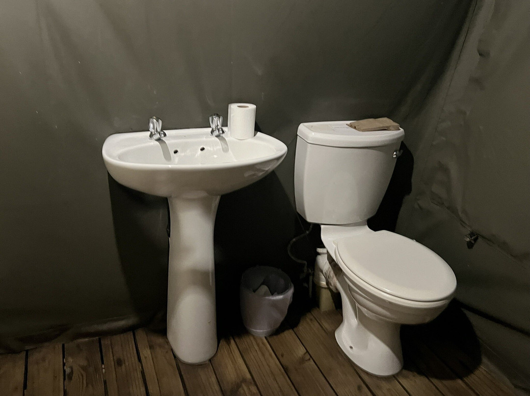 Wild Child Africa-彼得马里茨堡必去景点