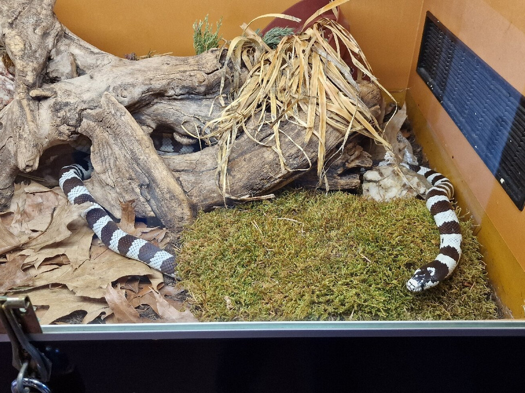 Reptilienzoo Nockalm-Patergassen必去景点