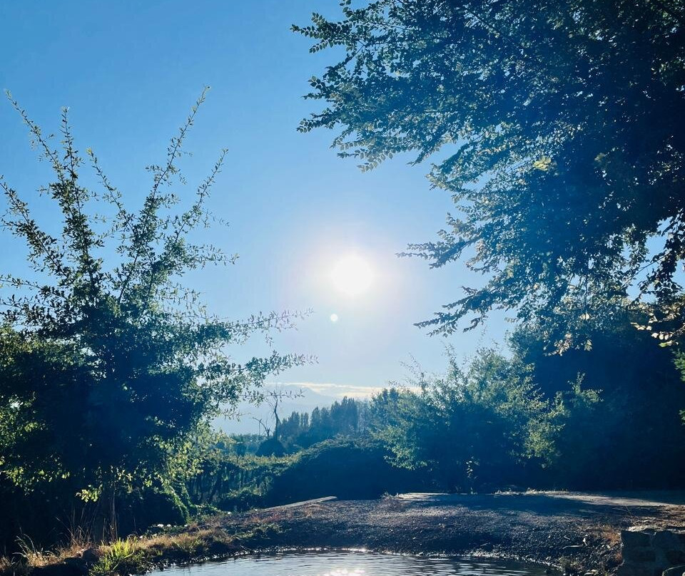 Maturana Wines-San Fernando必去景点