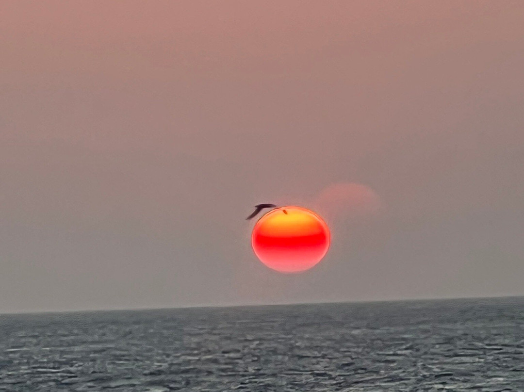 Plage De L'amélie-Soulac-sur-Mer必去景点