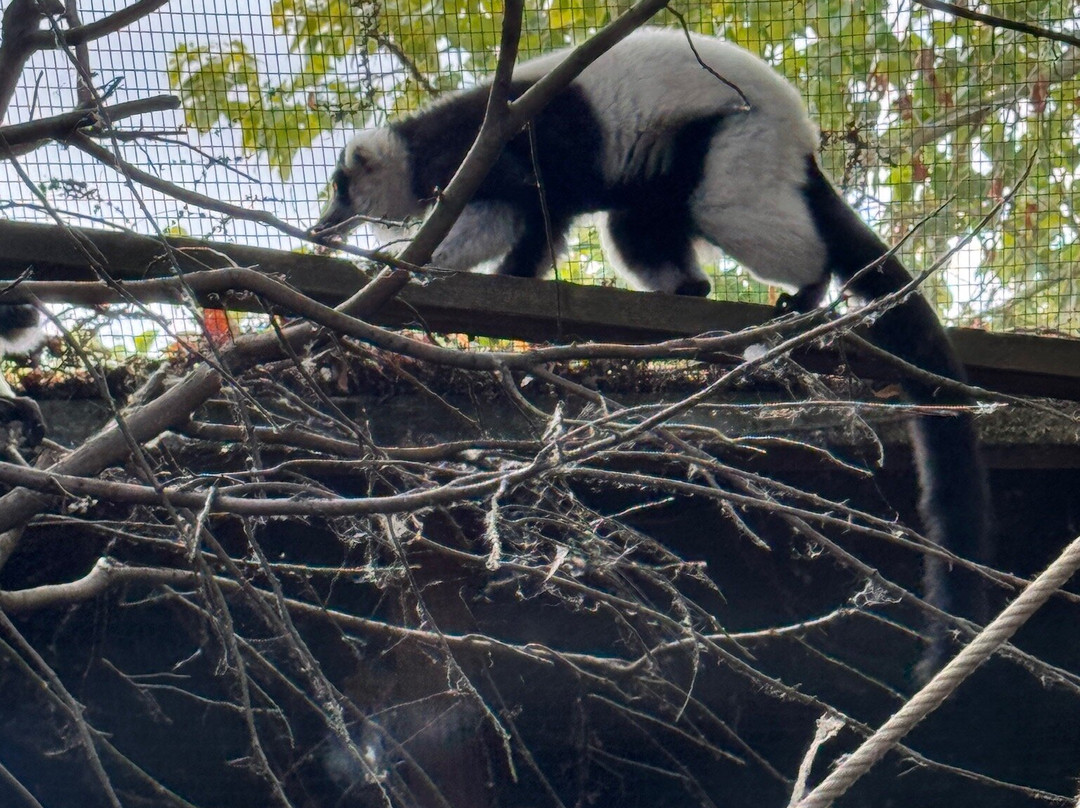 Call Of The Wild Zoo-South Woodham Ferrers必去景点