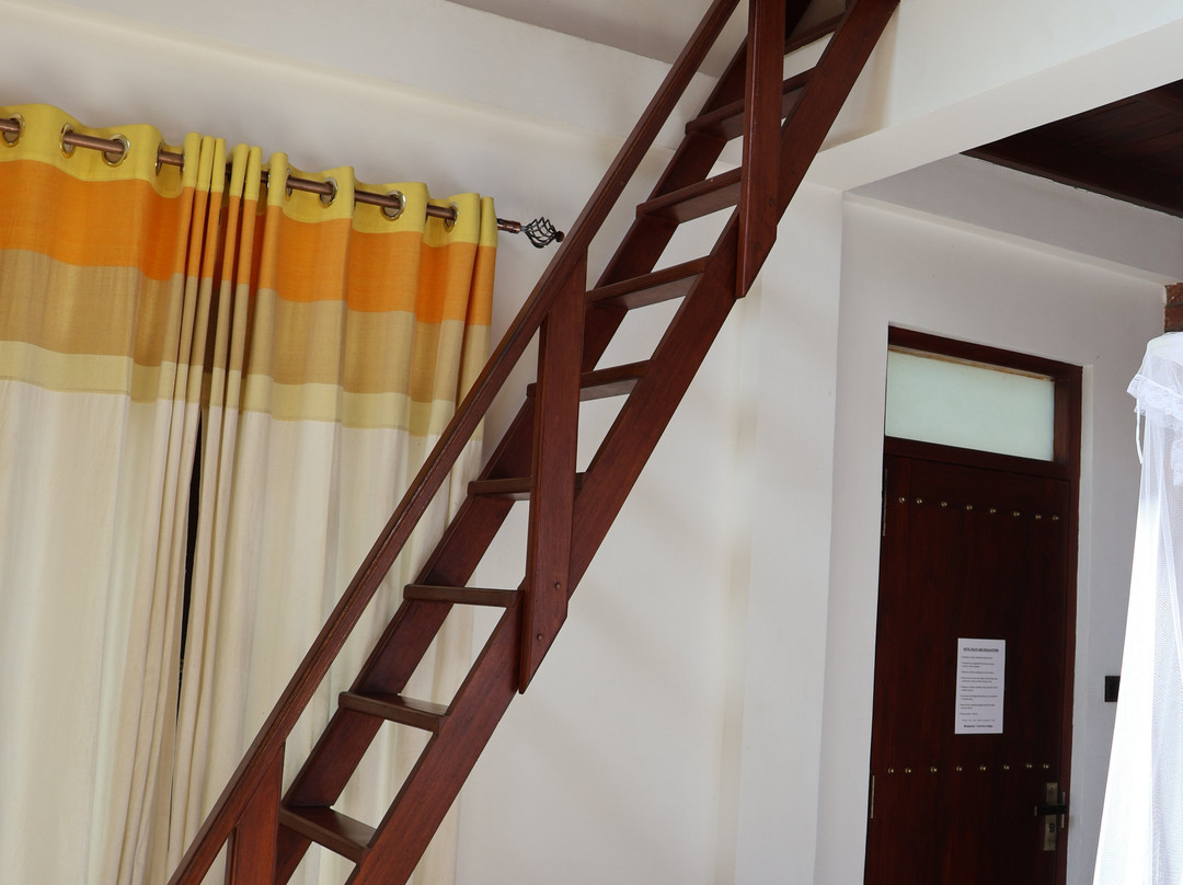 3Arch Eco Cottage Ella主图