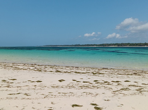 Kizo Safaris-内罗毕必去景点