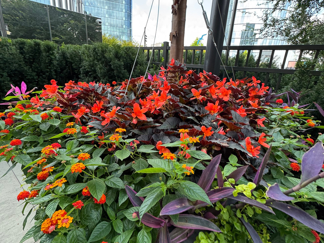 The Watermark Hotel主图