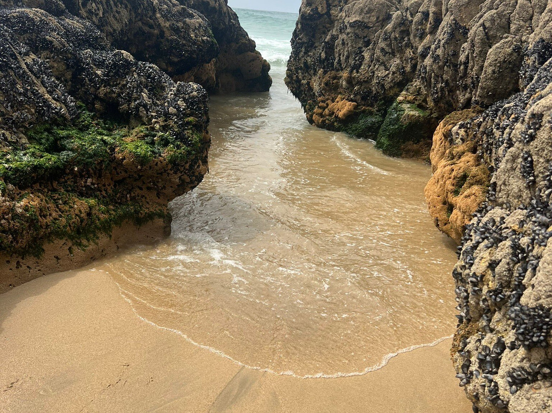 Piscina das Marés-Leca da Palmeira必去景点