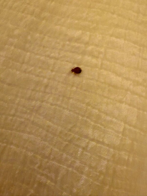 埃尔迈拉江景假日酒店主图