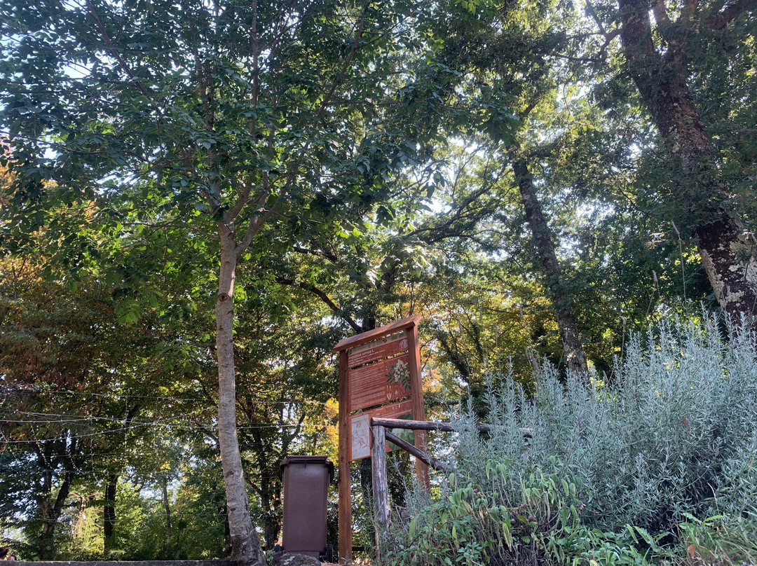 Fustock Parco Romano