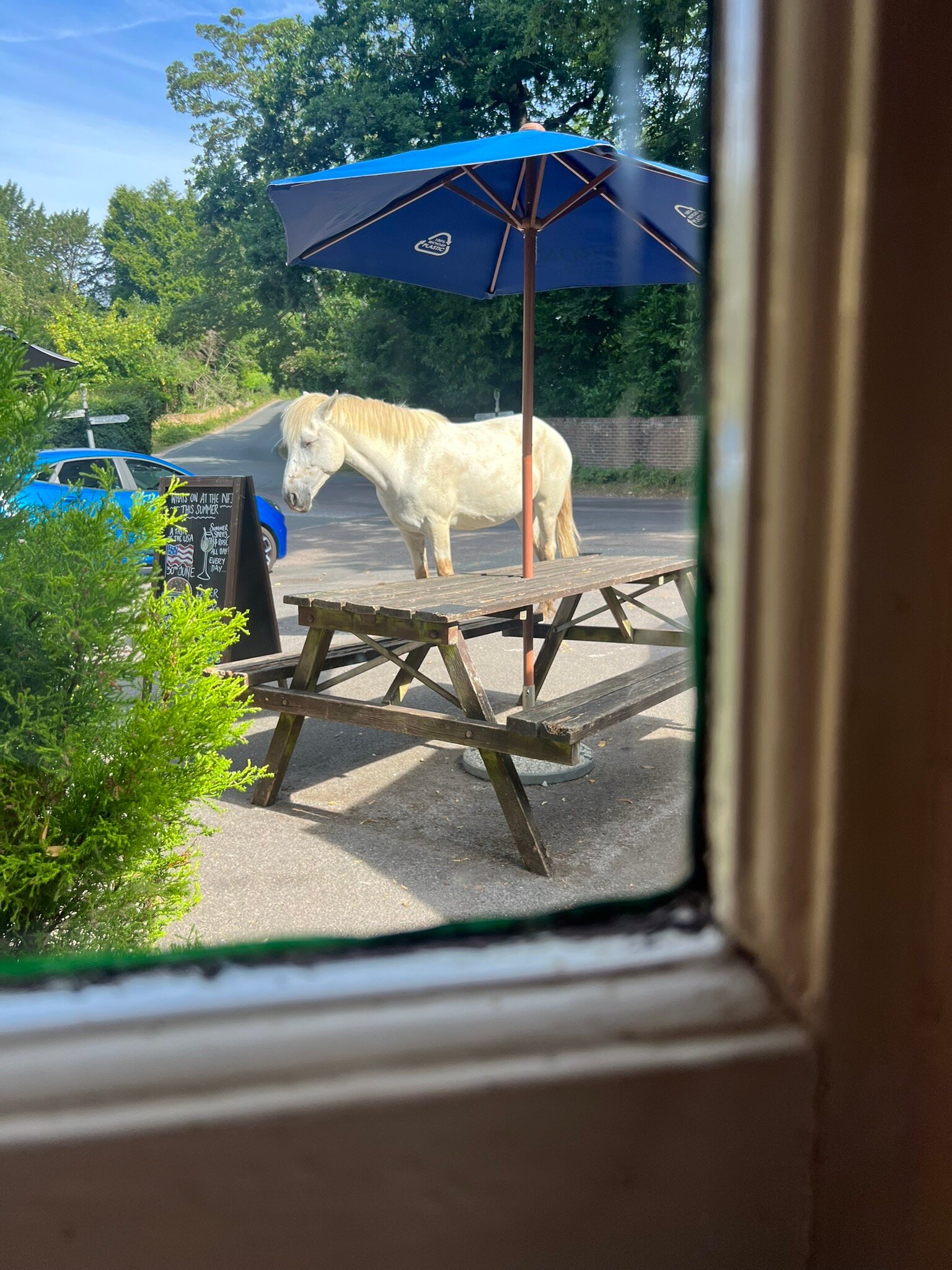 The New Forest Inn-官方