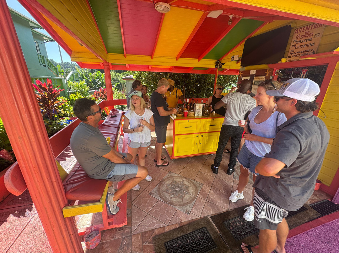 A Sweet Grenada Tours & Taxi-格林纳达必去景点