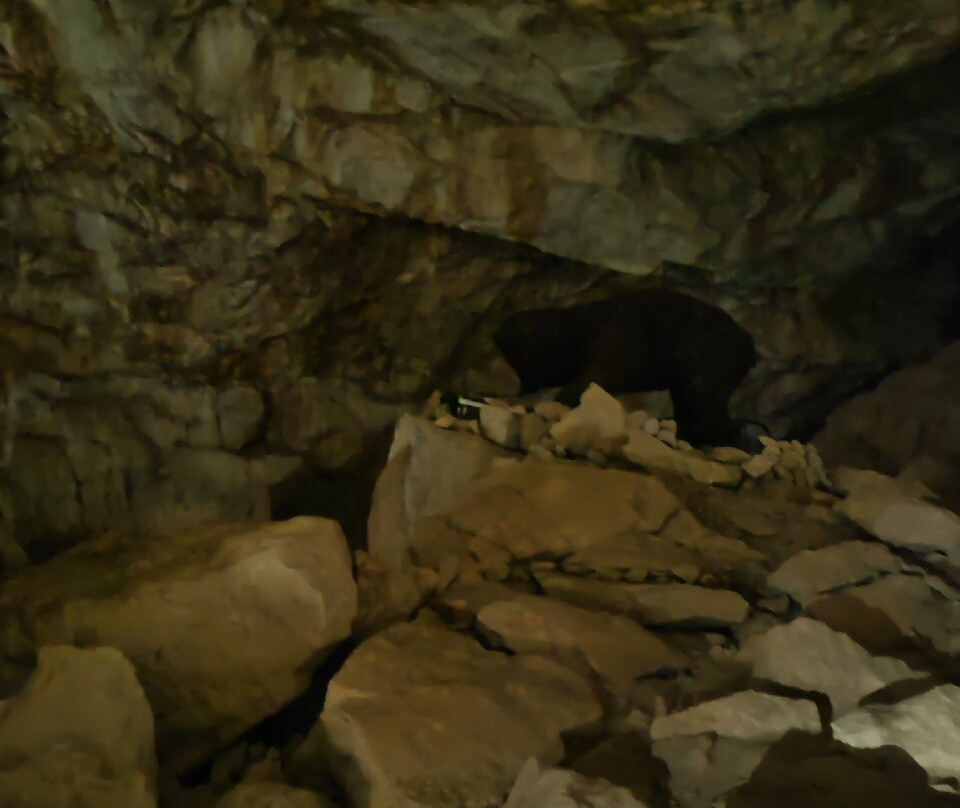 Dachstein Giant Ice Caves-上特劳恩必去景点