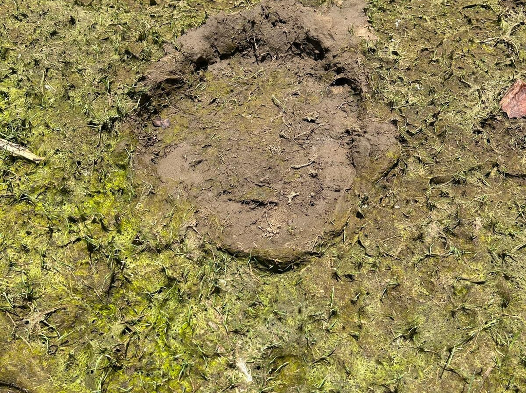 Etili Village Experience-埃勒必去景点