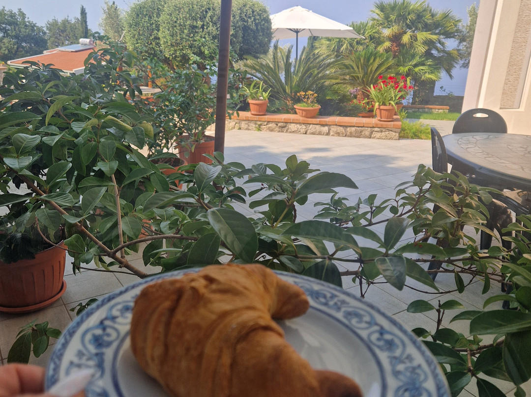 Al chiaro di  Luna主图