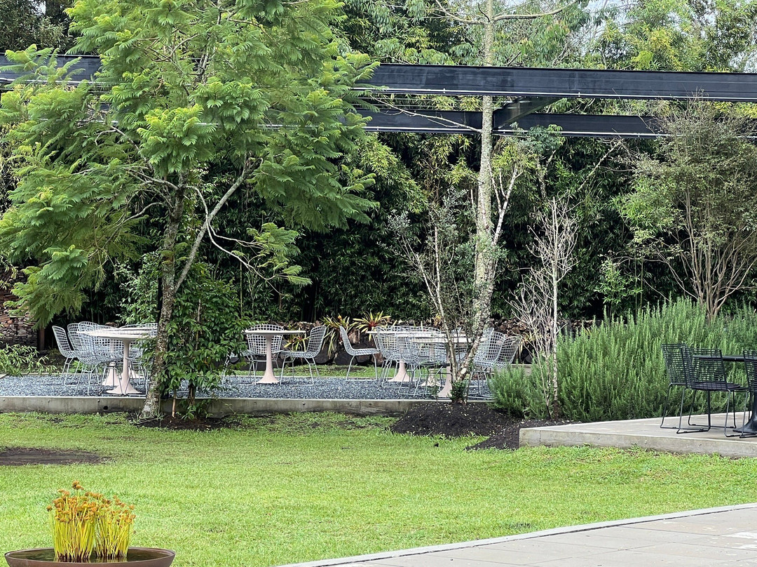 La Causa Llanogrande