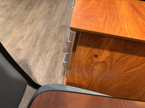 格林维尔中央 I-85 伍德斯普林套房酒店主图