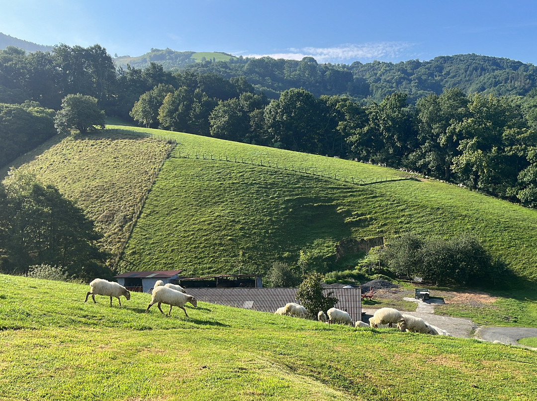 Pyrenean Writing Retreats-Ituren必去景点