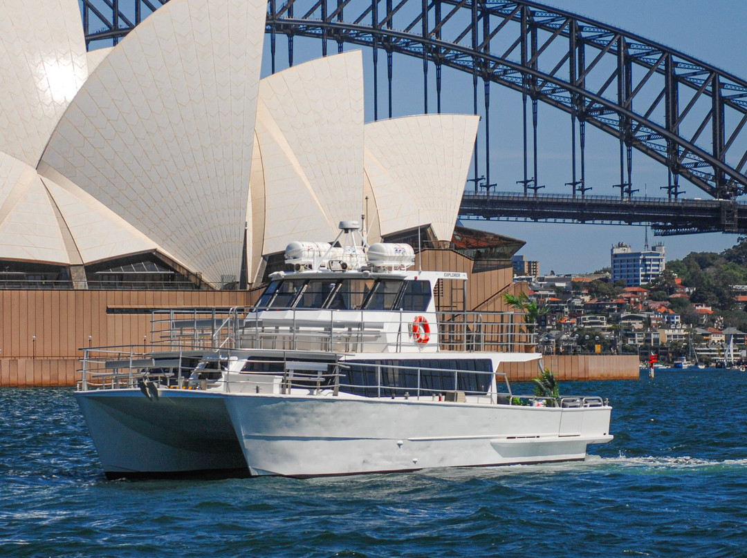 Whitehaven Cruises-悉尼必去景点