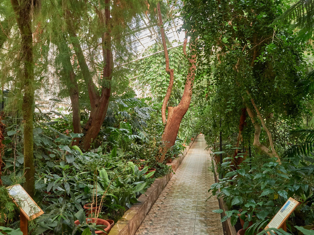 Ufa Botanical Garden-乌法必去景点