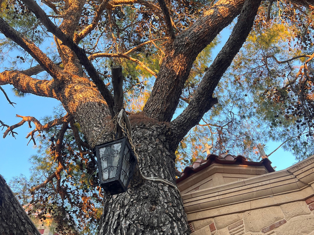 Agios Nektarios Monastery-埃伊纳岛必去景点