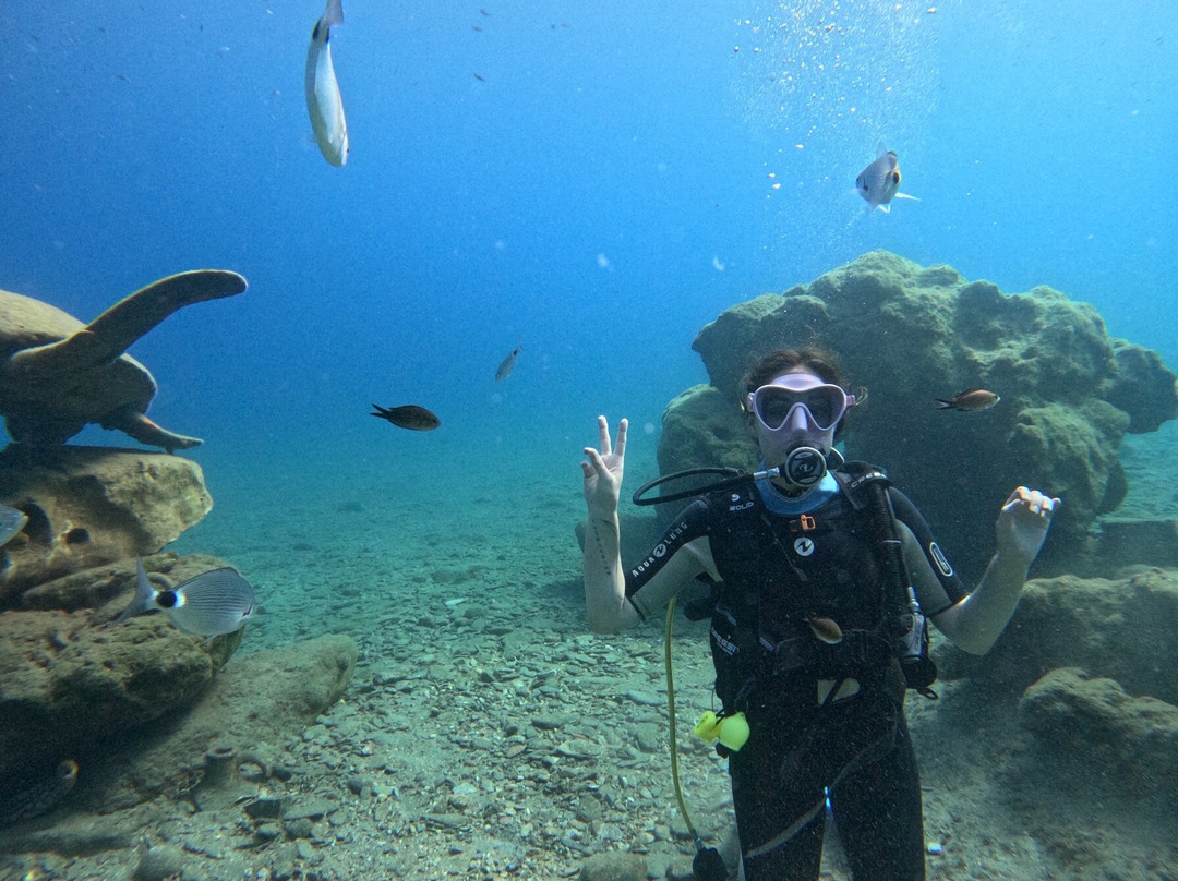 Dolphin Diving Center-雷斯蒙必去景点