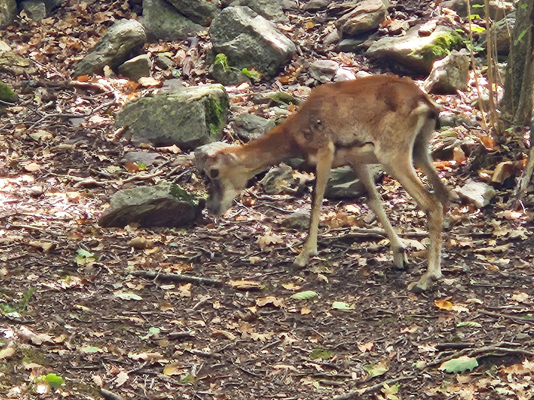 Gorges d'Heric-Mons必去景点