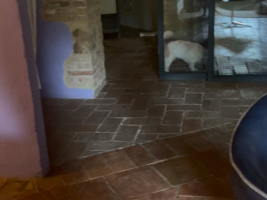 Hotel Moli de l'Escala主图