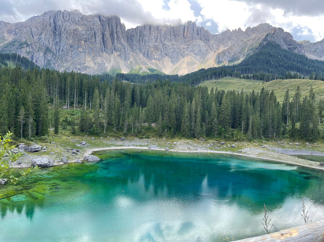 Hotel Alpenrose主图