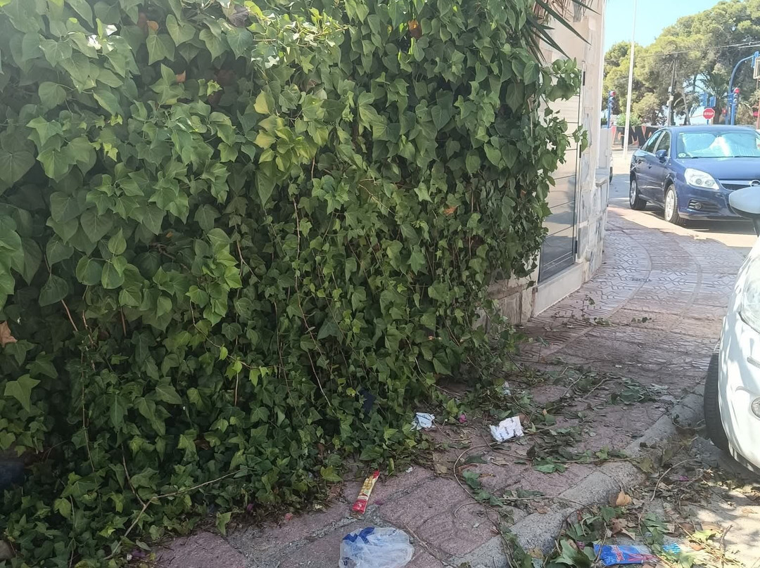 Playa de Bahia-穆尔西亚马萨龙港必去景点