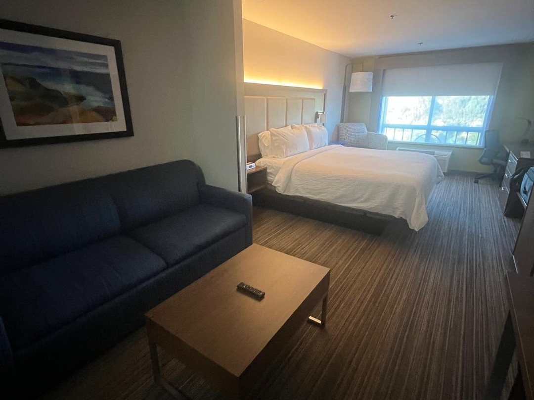 阿塔斯卡戴罗智选假日套房酒店主图