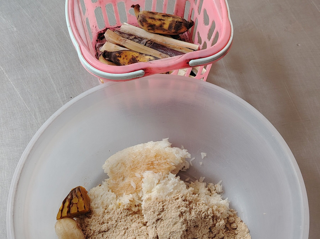 Samui Elephant Spa-苏梅岛必去景点