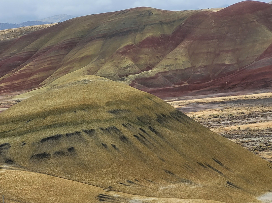 John Day Fossil Beds National Monument, Painted Hills Unit-Dayville必去景点