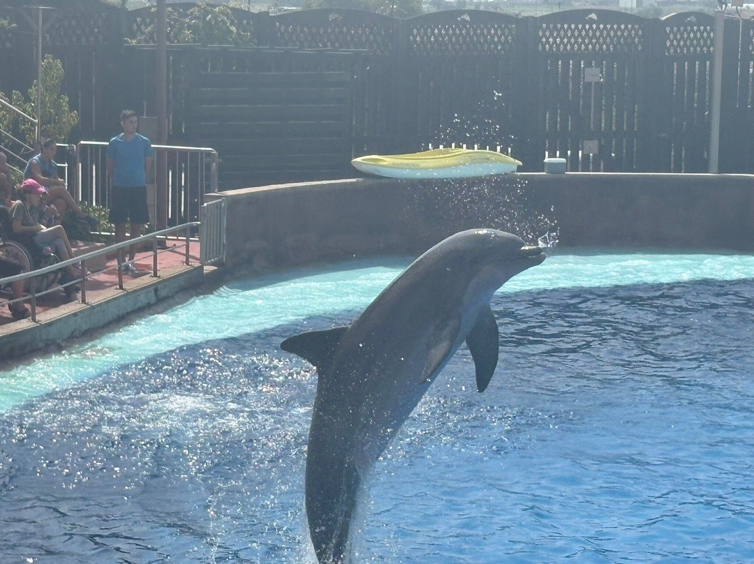 Marineland Catalunya-Palafolls必去景点