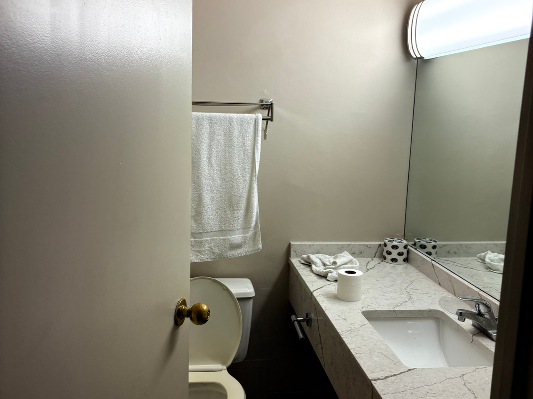 Days Inn by Wyndham Brampton主图