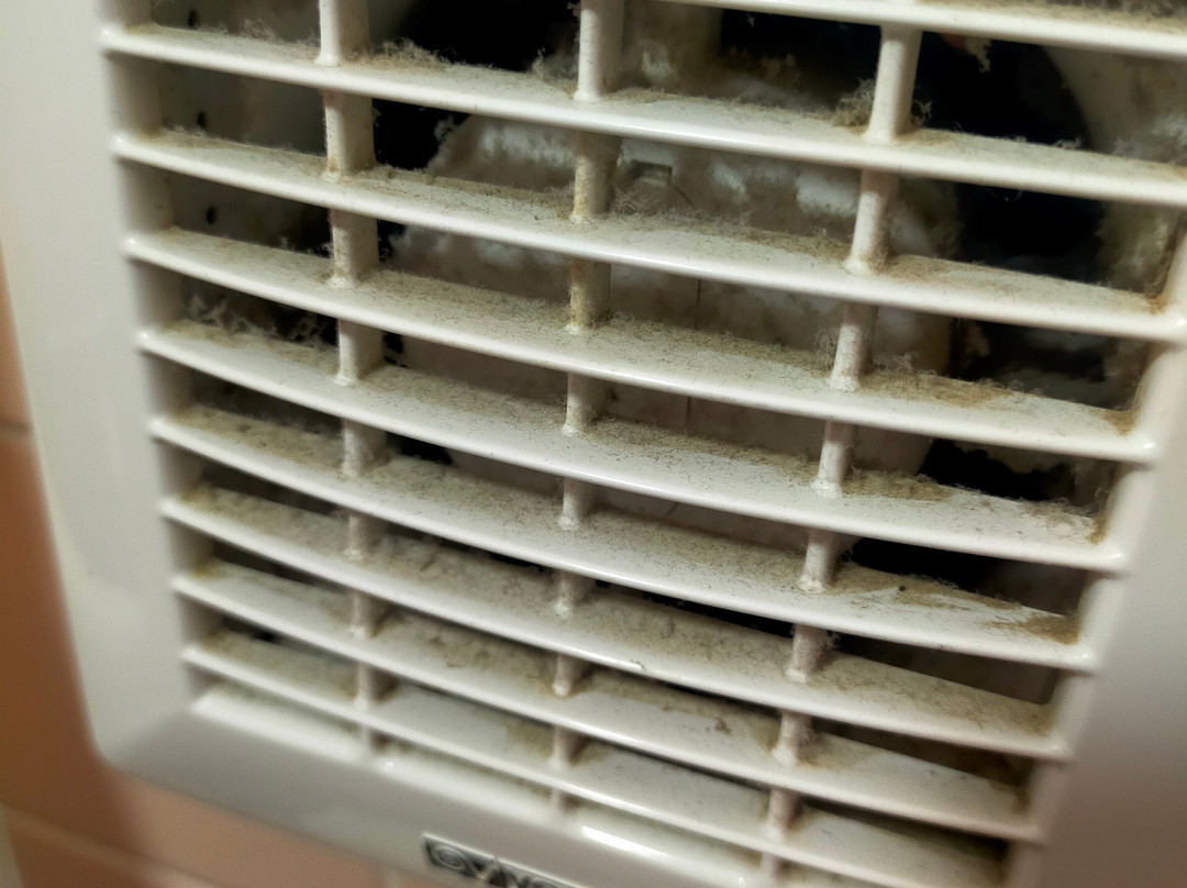 Agriturismo Le Biricoccole主图